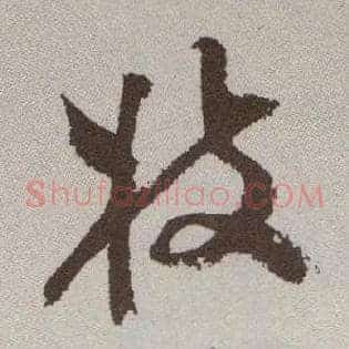 枝