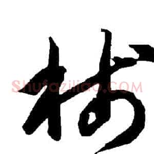 箋