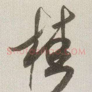 桂