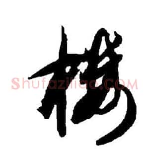 楼