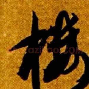 樓