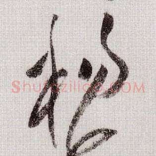 杨花