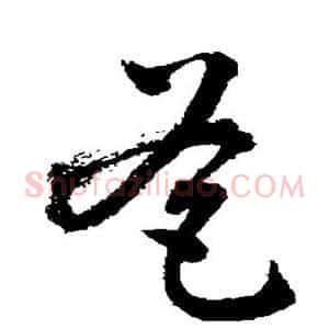 爸