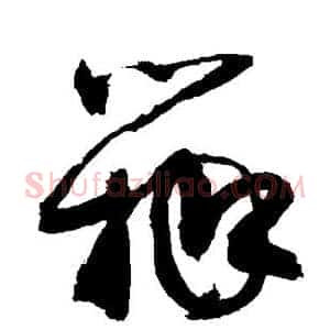 瓣
