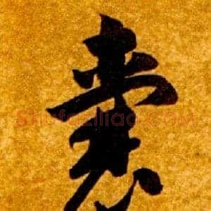 囊