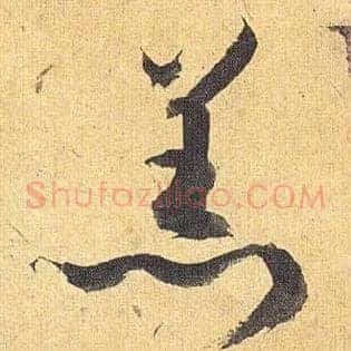 羔