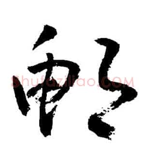 鲍