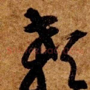 颡