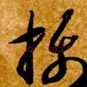 攝