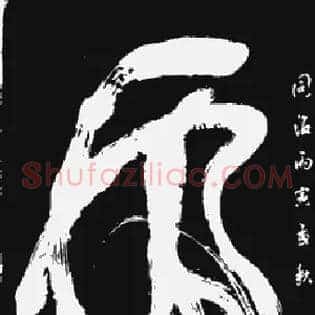 虎
