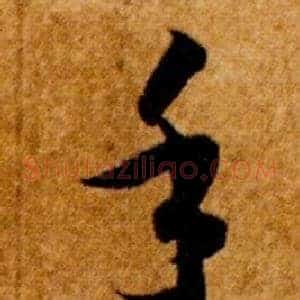 手