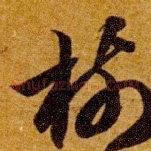樹