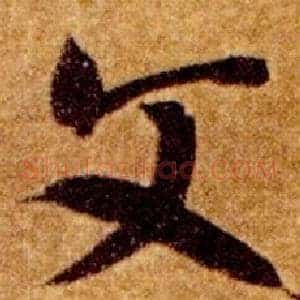 文