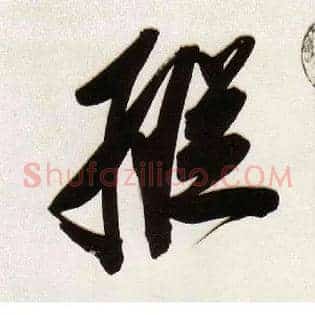 纵