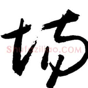 场