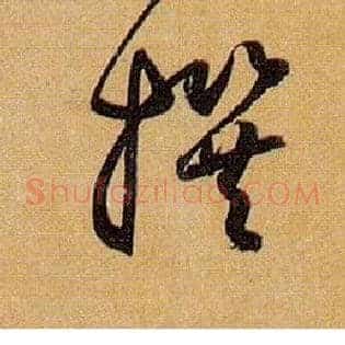 撰
