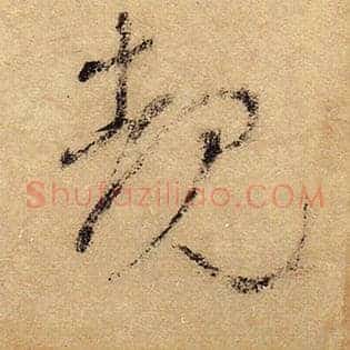 睹