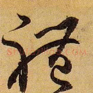 体