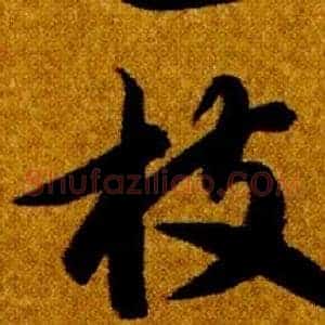 枝