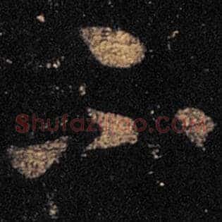 不