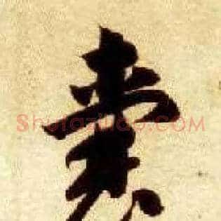 囊
