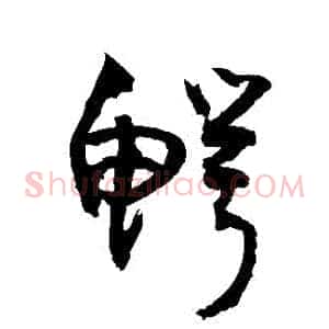 鱷