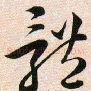 體
