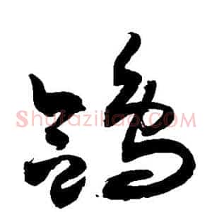 鸽