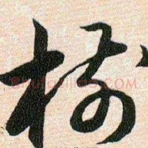 樹
