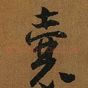囊