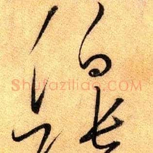 伯张正