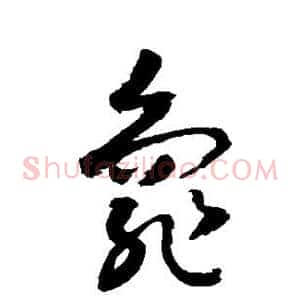 龟