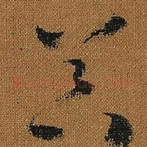 器