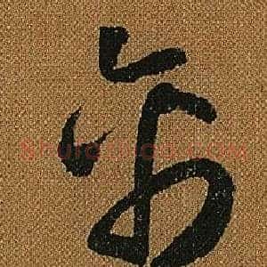 禽