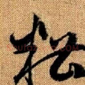 糟