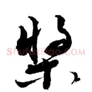 桨