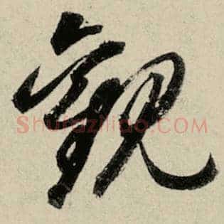 观