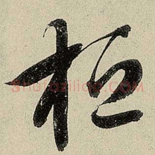 桓