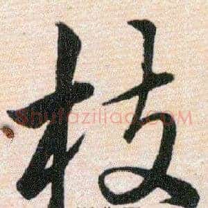 枝