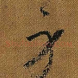 身