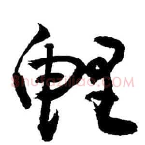 鲤