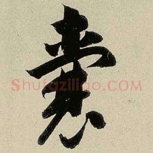 囊