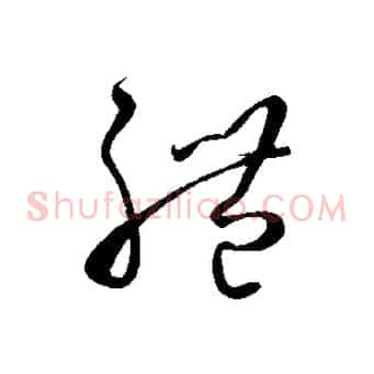 體