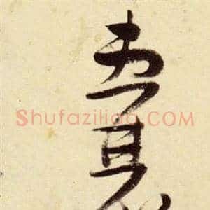囊
