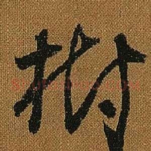 樹