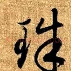 珠