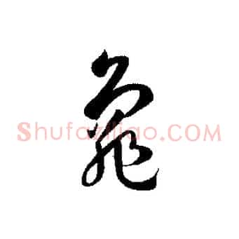龜