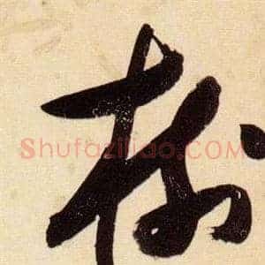 樹