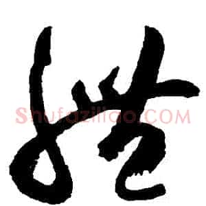 體