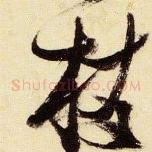 枝